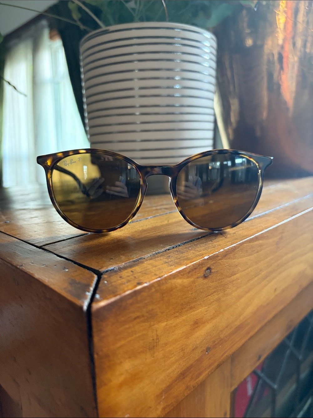 Ray-Ban Havana / Tortoise Frame Sunglasses